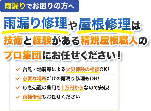 雨漏りでお困りの方へ雨漏り修理や屋根修理は技術と経験がある精鋭屋根職人のプロ集団にお任せください！台風・地震等による火災保険の相談OK!必要な場所だけの雨漏り修理もOK!応急処置の費用も1万円からなので安心!雨樋修理もお任せください!